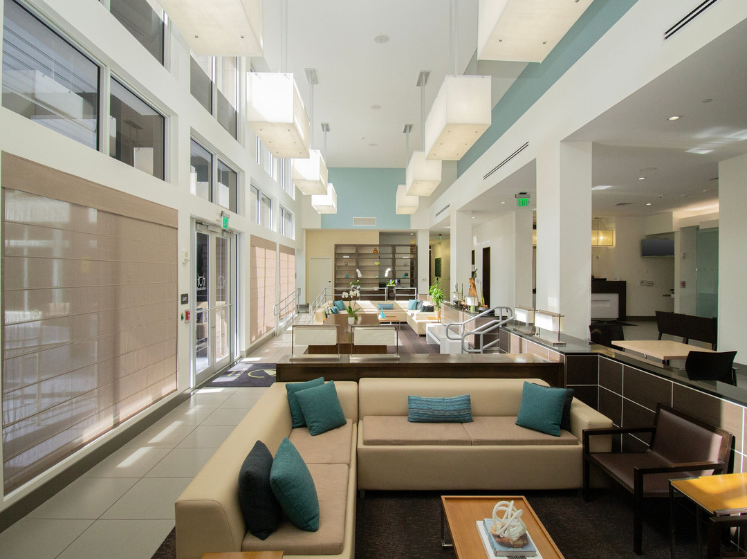 多拉酒店住宿-迈阿密多拉元素酒店