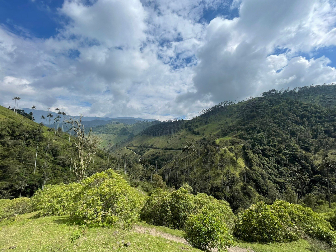 Colombian Summit-Ibague必去景点
