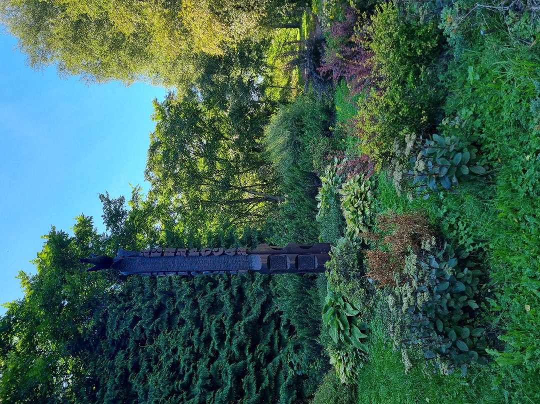 Pereslavskiy Arboretum Named After S.F. Kharitonov景点图片