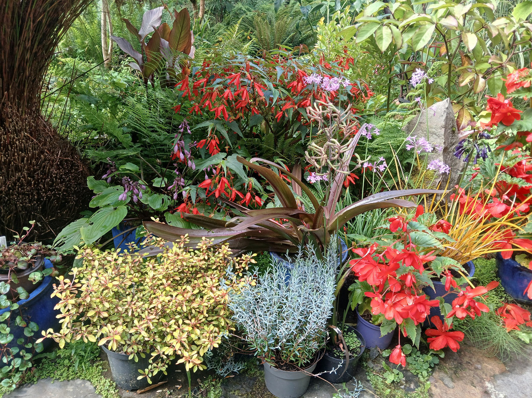 Cluain Na Dtor Seaside Gardens & Nursery-Falcarragh必去景点
