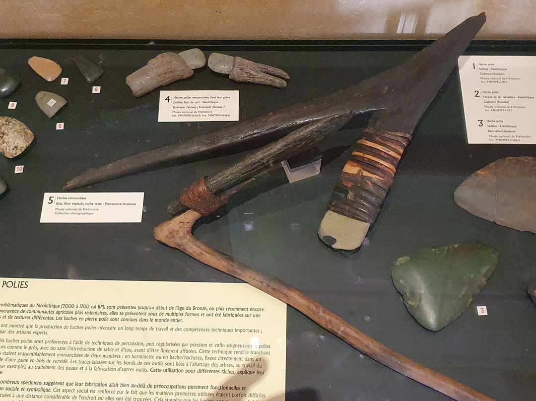 Musee National de Prehistoire景点图片