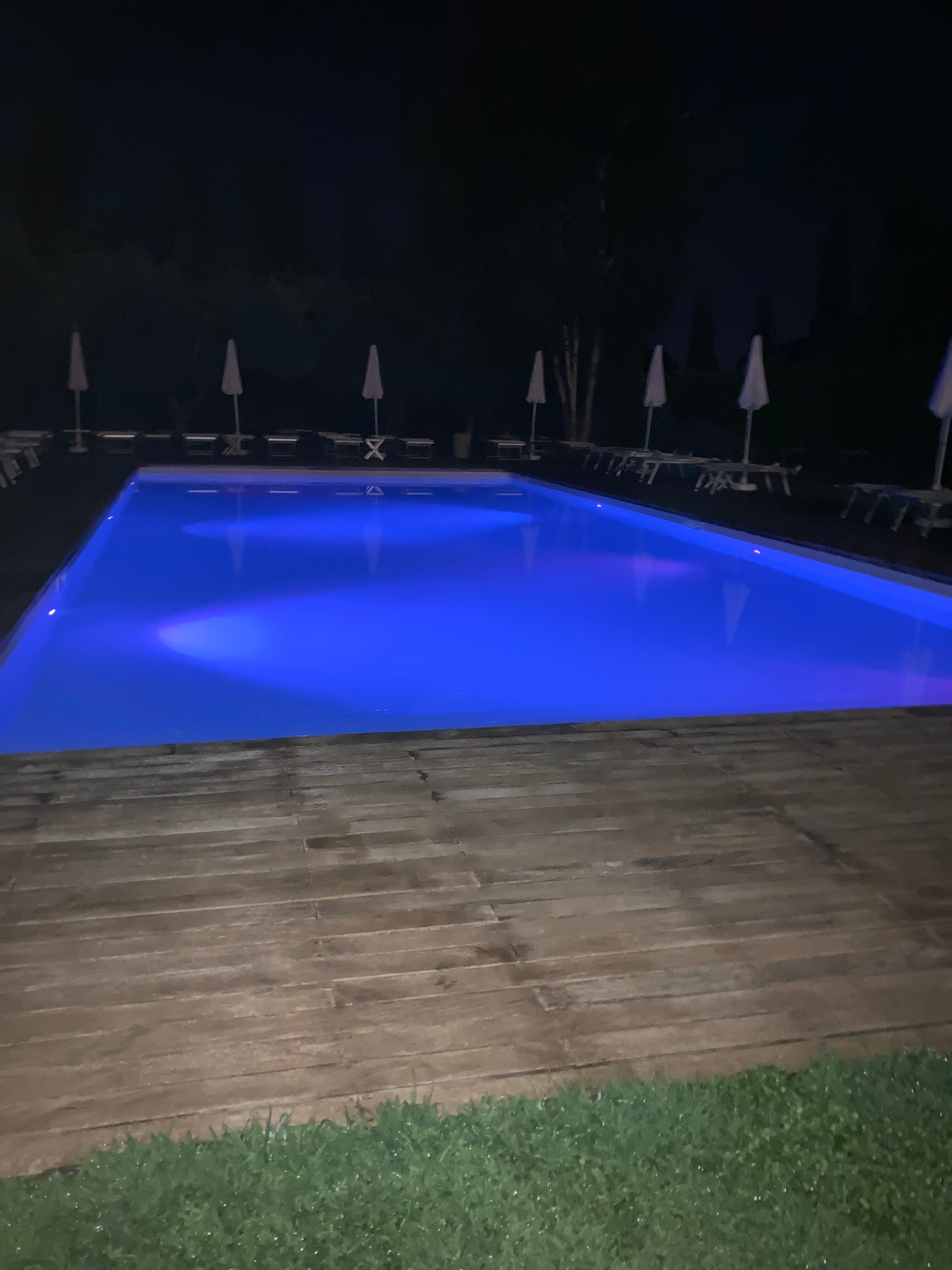 Fontepino-官方