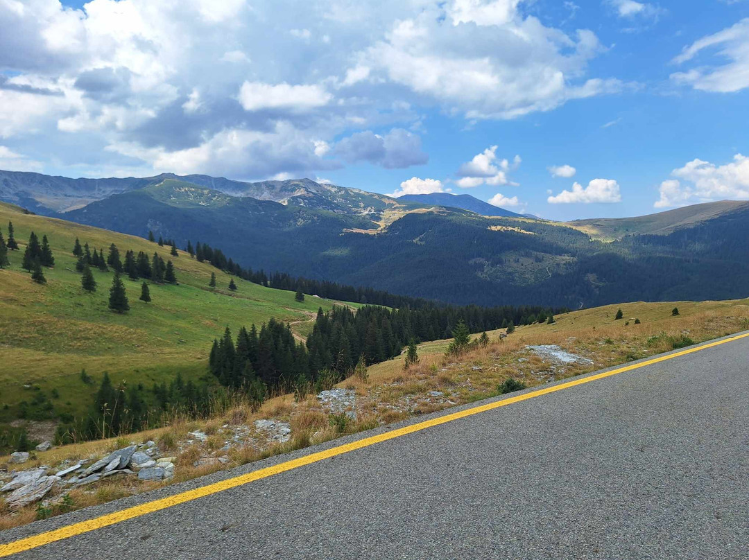 Transalpina景点图片