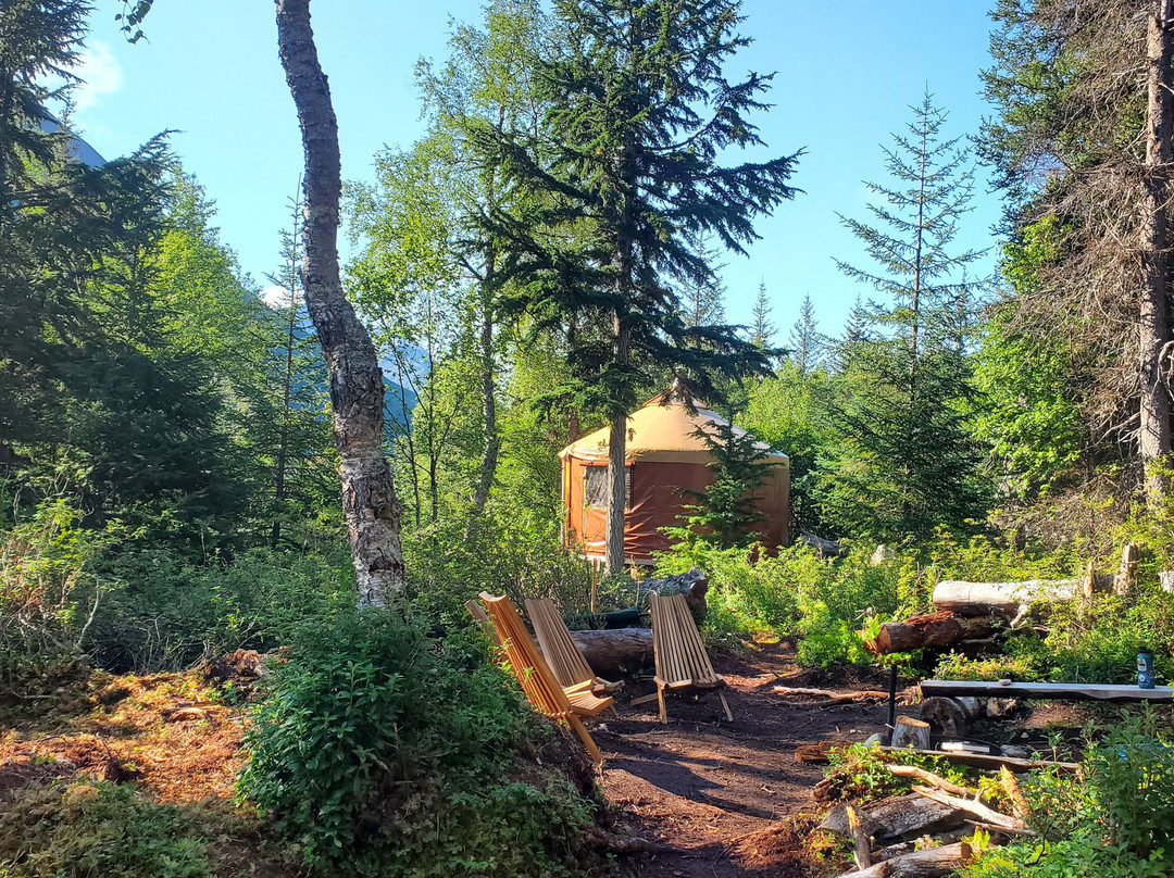 Moose Pass Adventures-穆斯帕斯必去景点