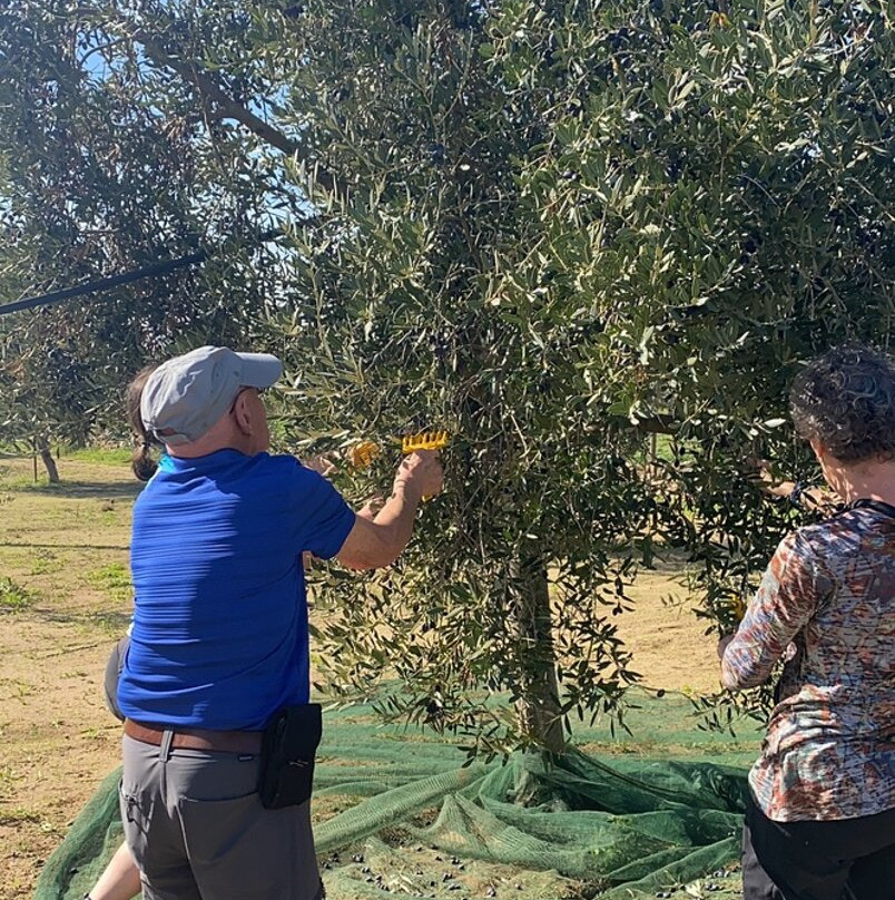 Azienda Agricola Taurino Shop景点图片