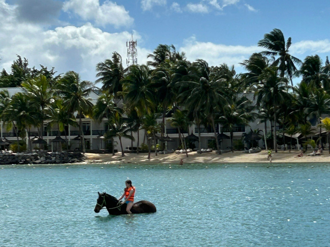 Maritim Equestrian Centre-巴拉克拉瓦必去景点