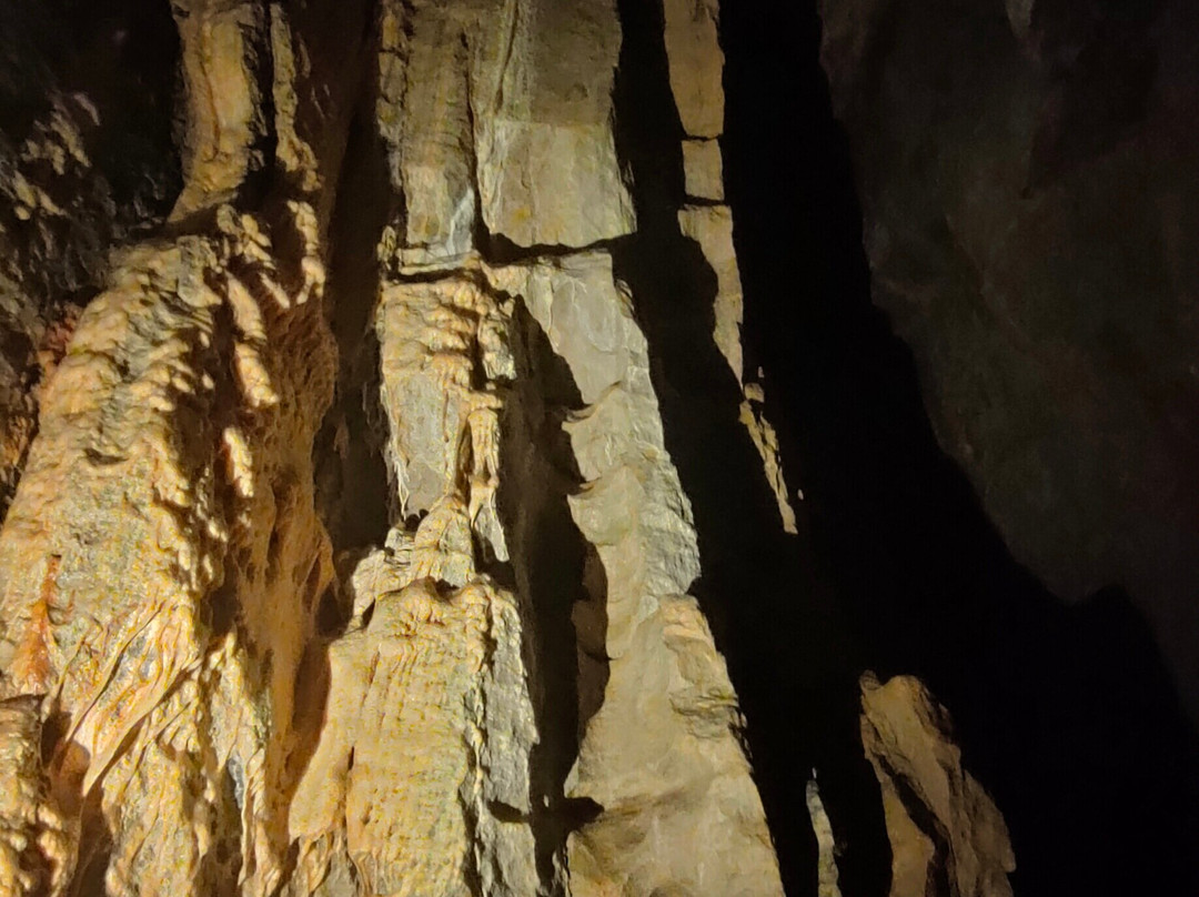 Grottes de Hotton景点图片