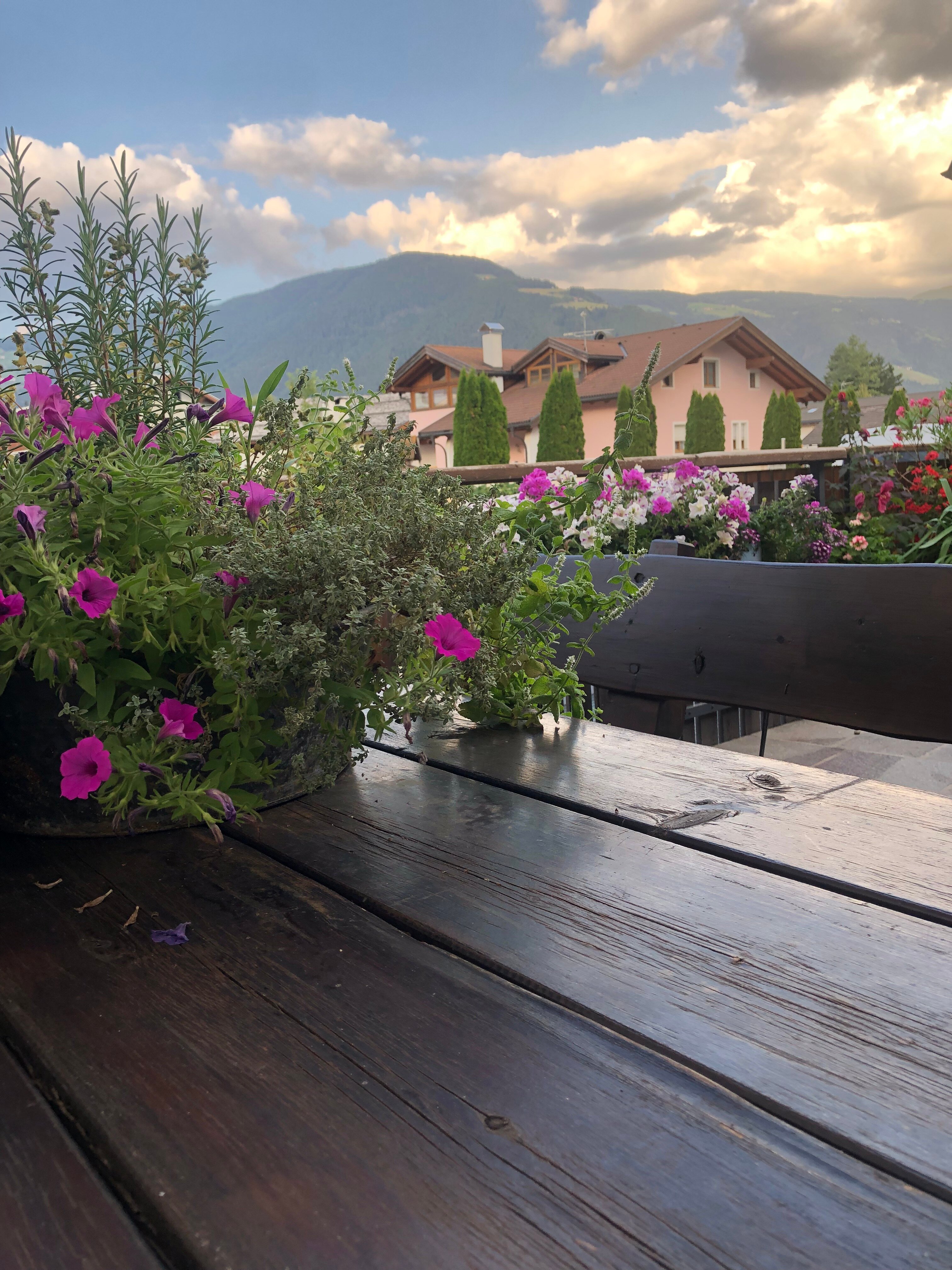 Gasthof Anich-官方