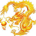 dragon789wv