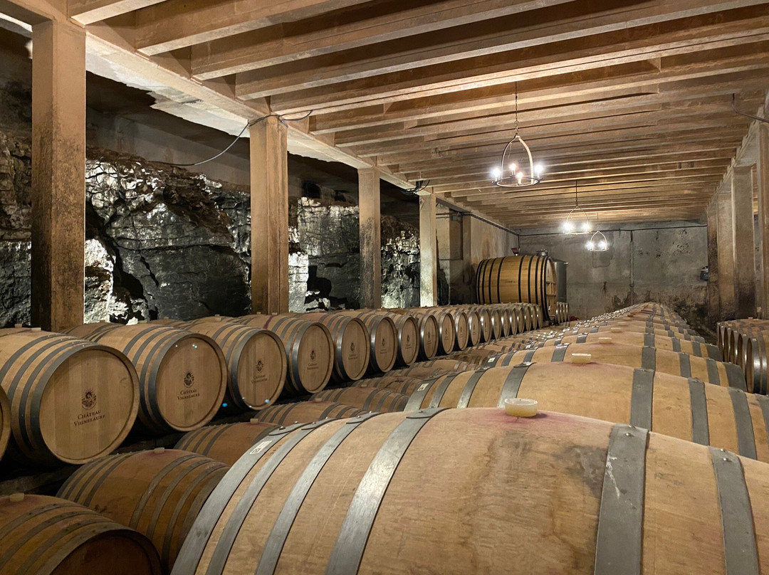 Château Vignelaure景点图片