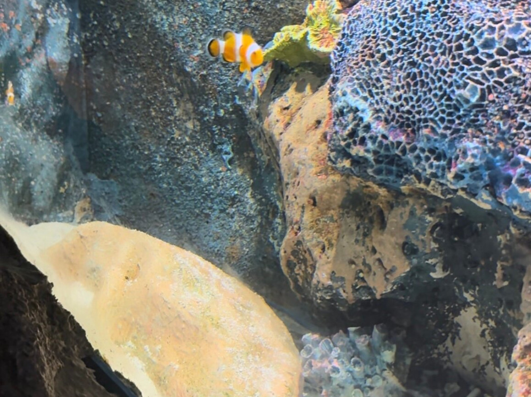Underwater World Pattaya