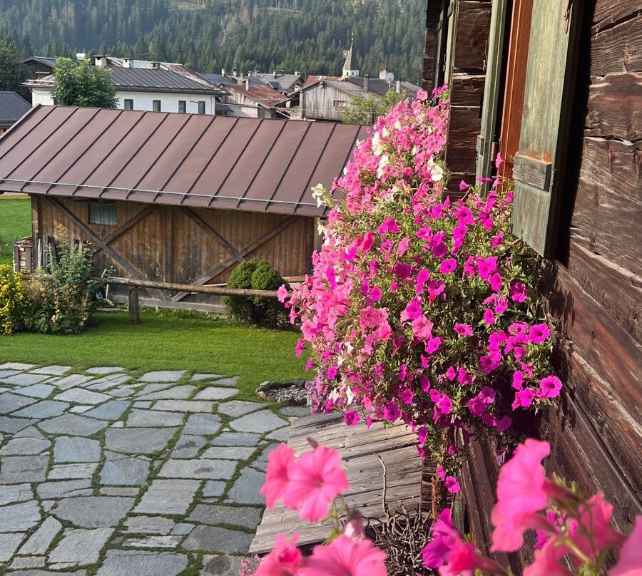 B&b Graz Trojar Haus主图