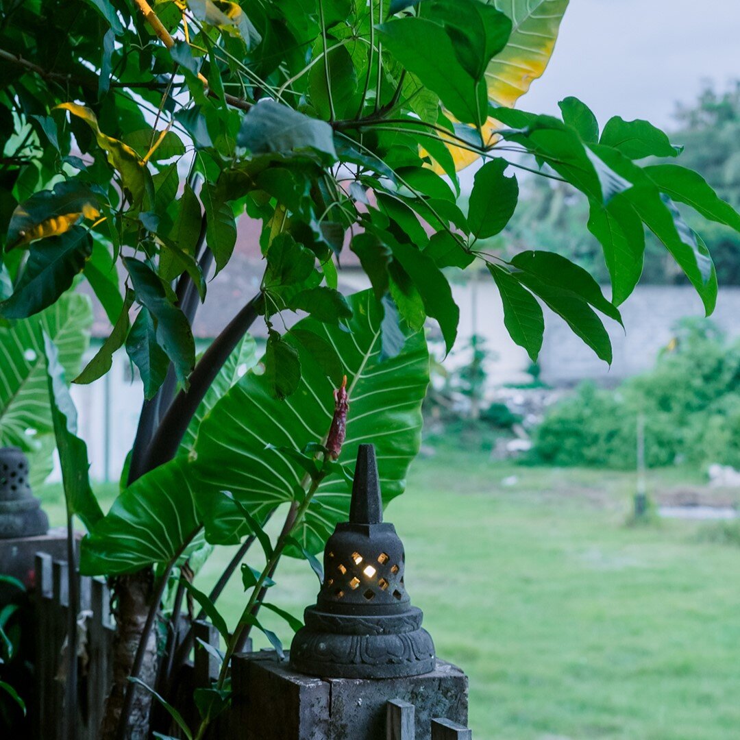 The Amrta Borobudur-酒店景观