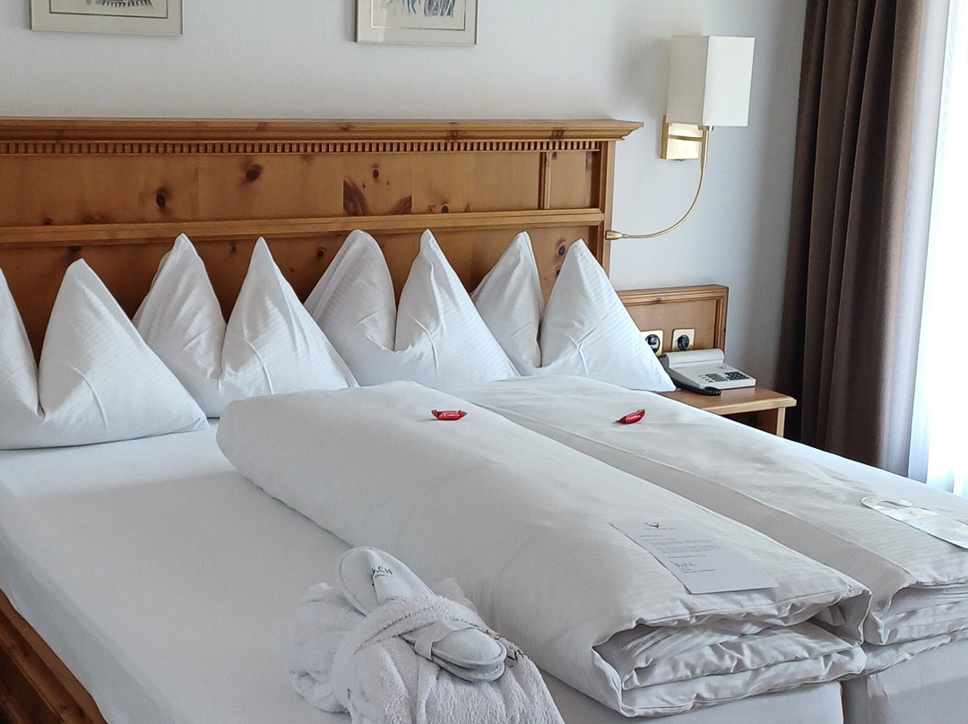 Hotel Silvretta主图