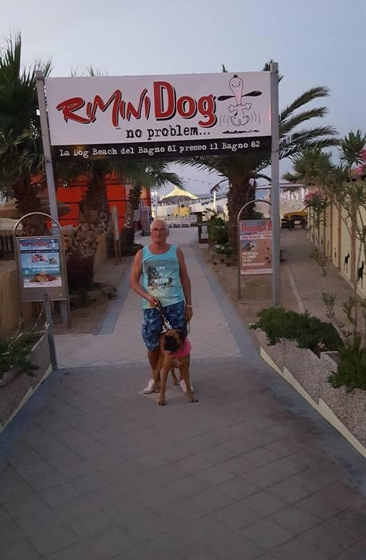 Rimini Dog No Problem - Bagno 81景点图片