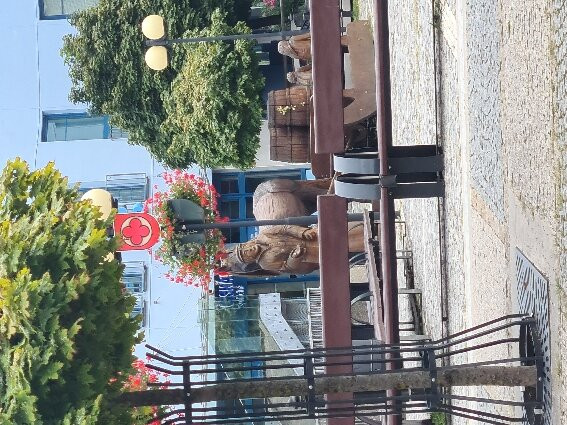 Zelena Marina Garni Hotel主图