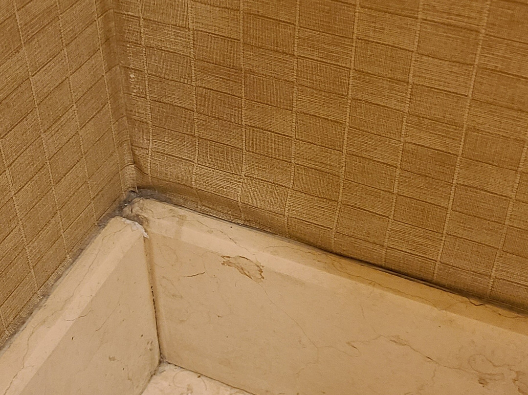 La Quinta Inn & Suites by Wyndham Ely主图