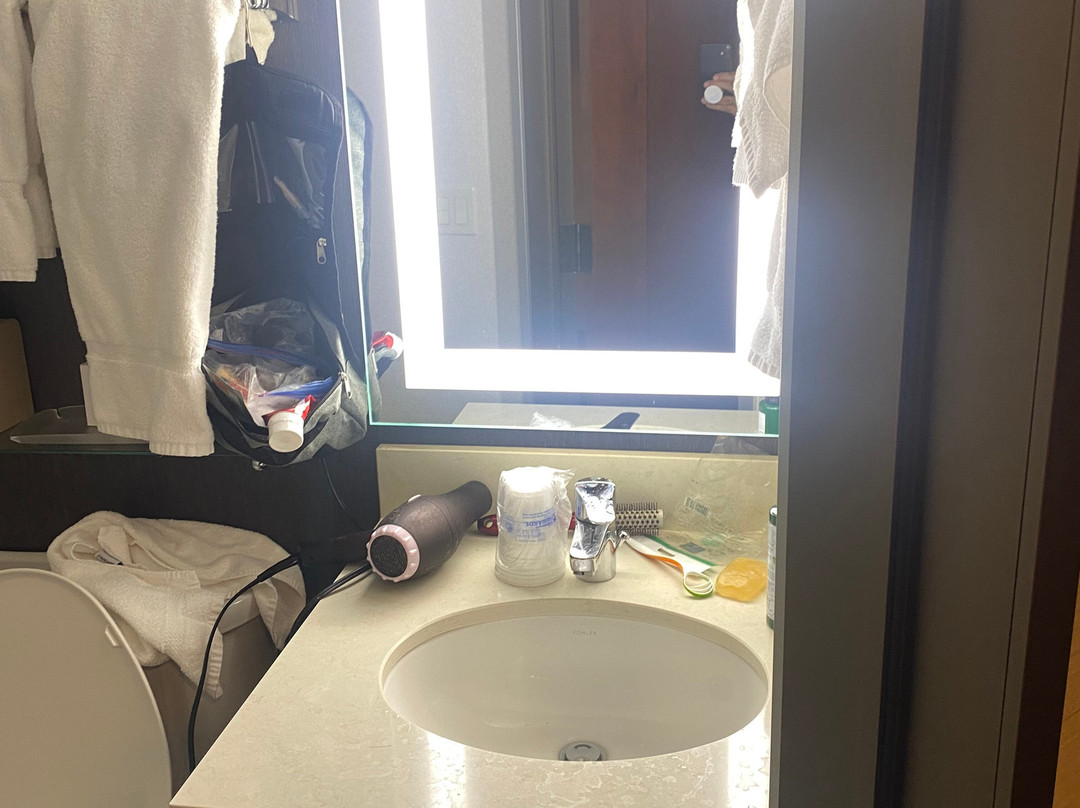 Best Western Premier Park Hotel主图