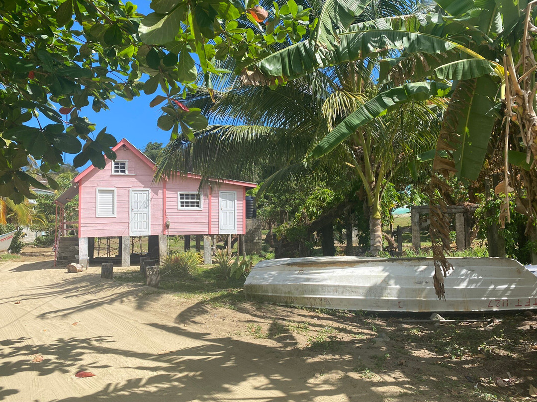 Parlatuvier Beach-Parlatuvier必去景点