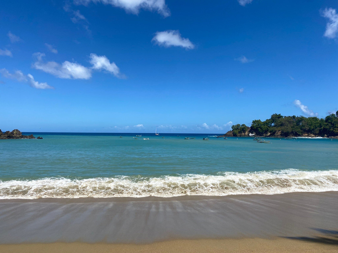 Parlatuvier Beach-Parlatuvier必去景点