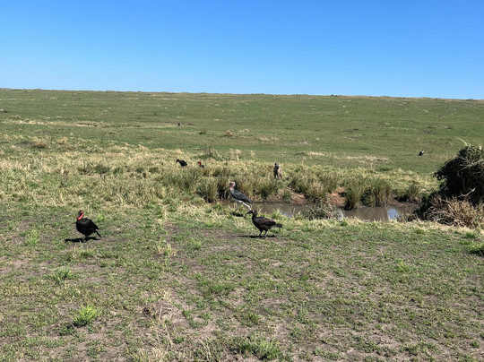 Sogno Kenya con Lorenzo di Andre-瓦塔木必去景点