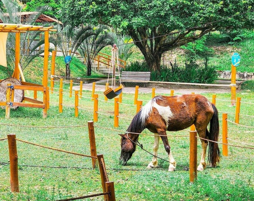 Coqueiral Park - Lazer Em Família-Olinda必去景点