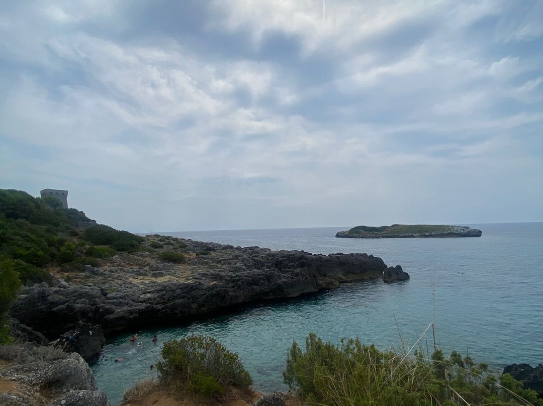 Calanca Beach景点图片