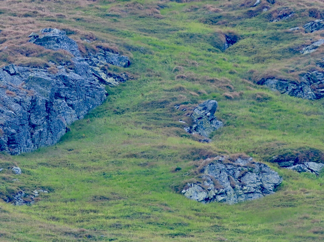 Slovak Wildlife Society-Liptovsky Hradok必去景点