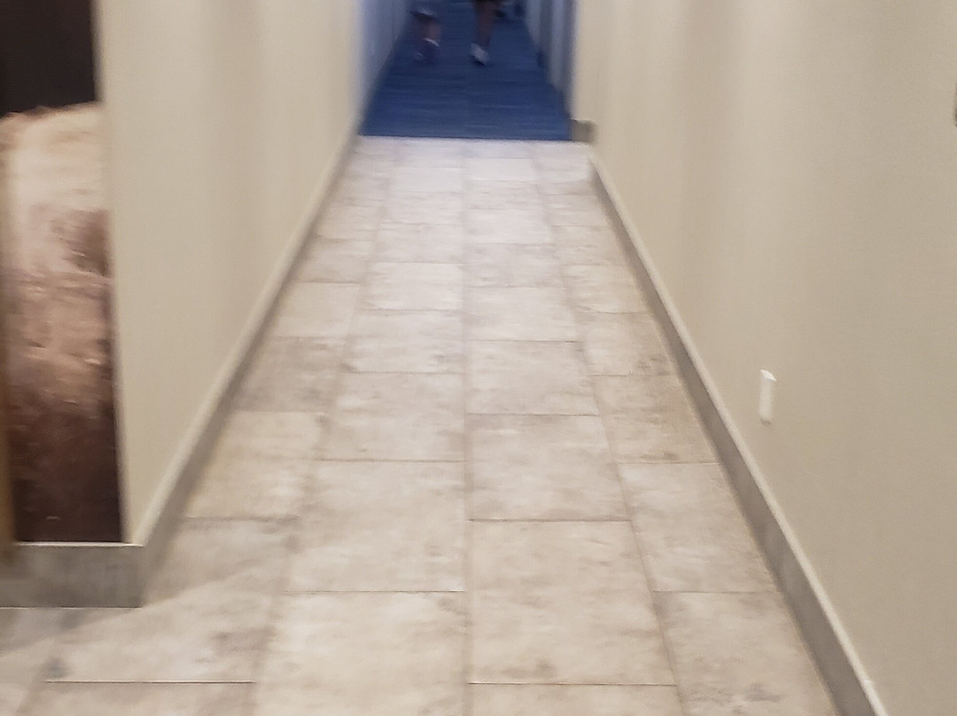 La Quinta Inn & Suites by Wyndham Bardstown主图