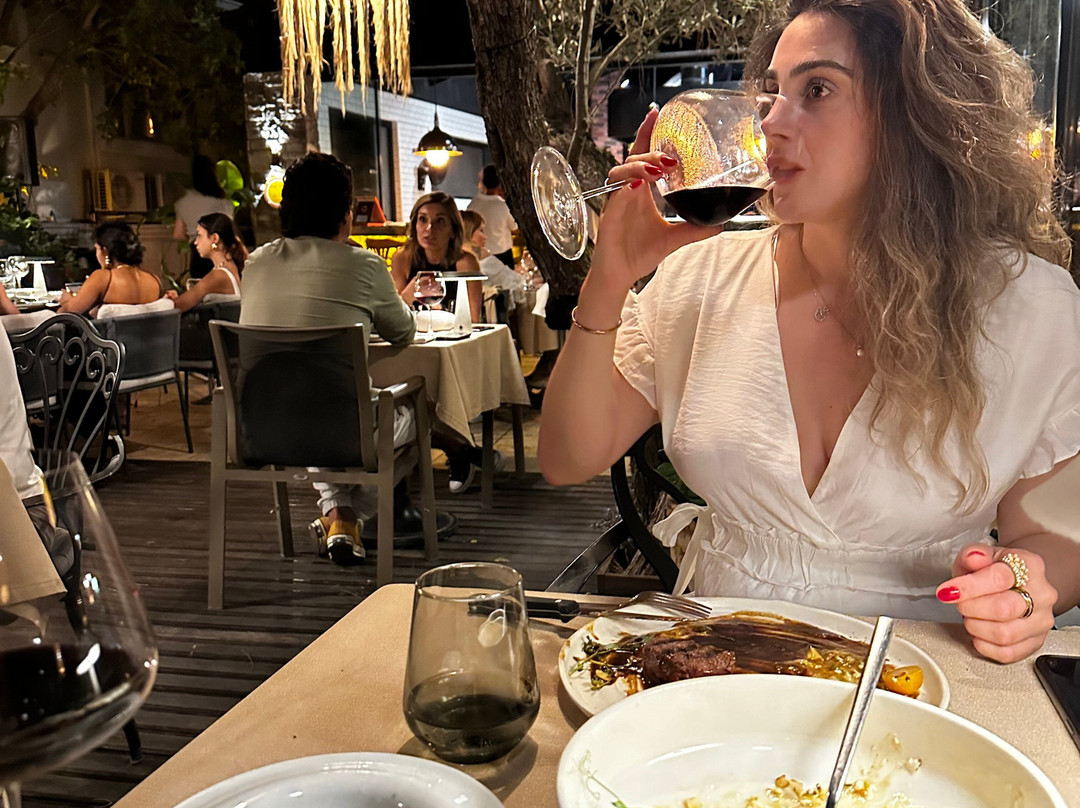 Ayse Hanim Konagi主图