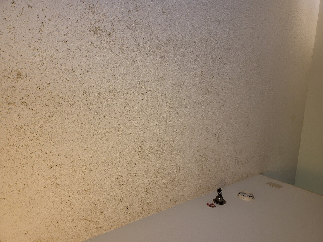 Baymont By Wyndham Dayton North