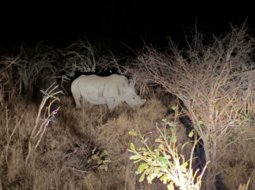 丛林漫步之旅酒店主图