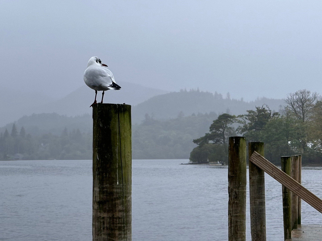 Keswick Launch on Derwentwater景点图片