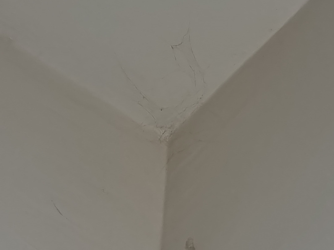 Dar Khayam Hotel主图