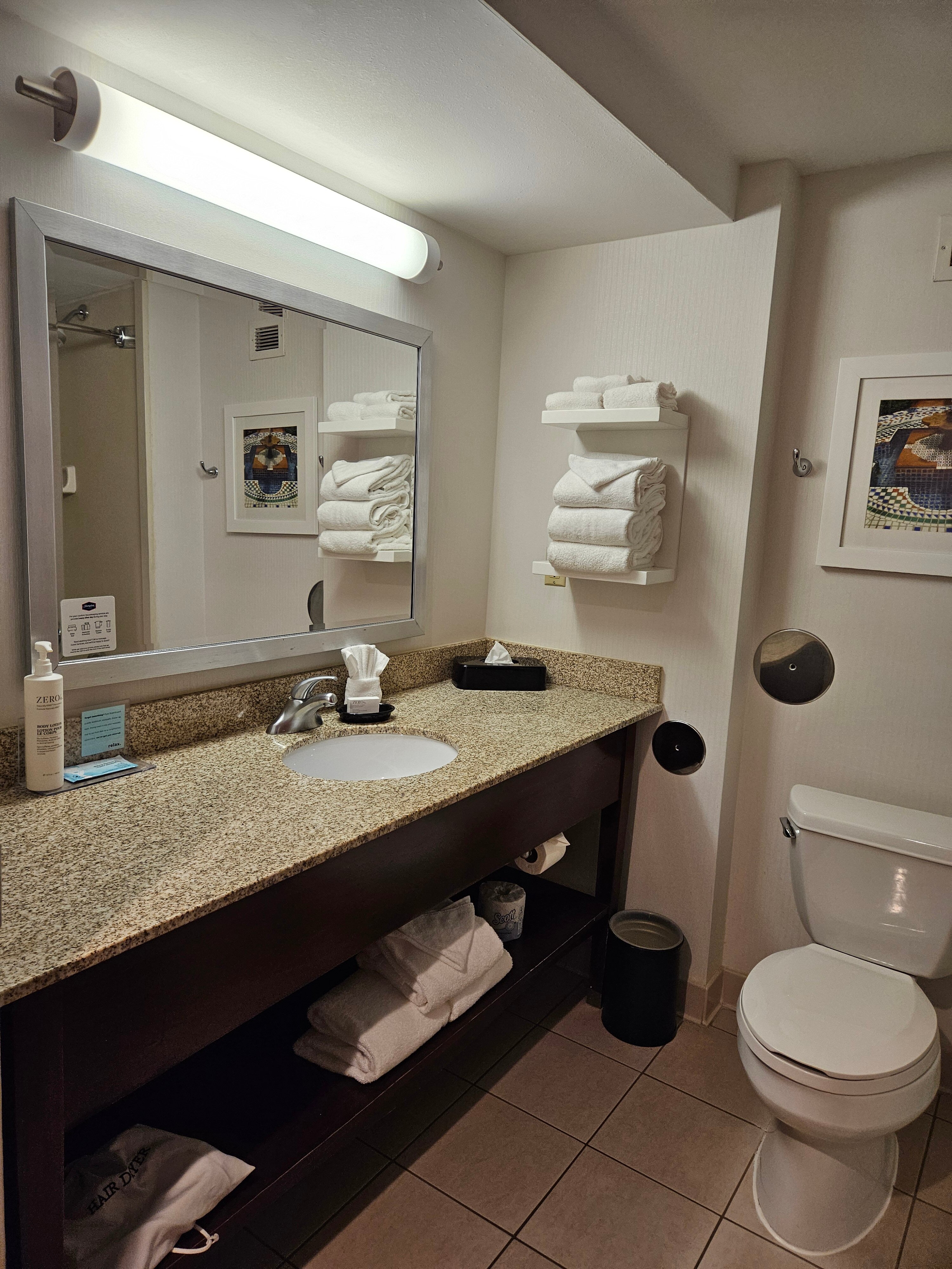 Hampton Inn St. Louis-Downtown (At the Gateway Arch)-浴室