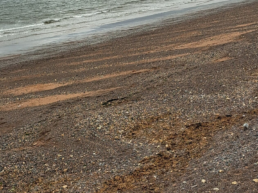 Red Rock Beach-Dawlish Warren必去景点