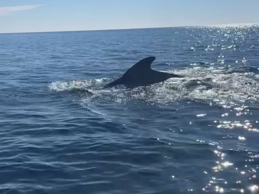 Keltic Express Zodiac Adentures-Ingonish必去景点