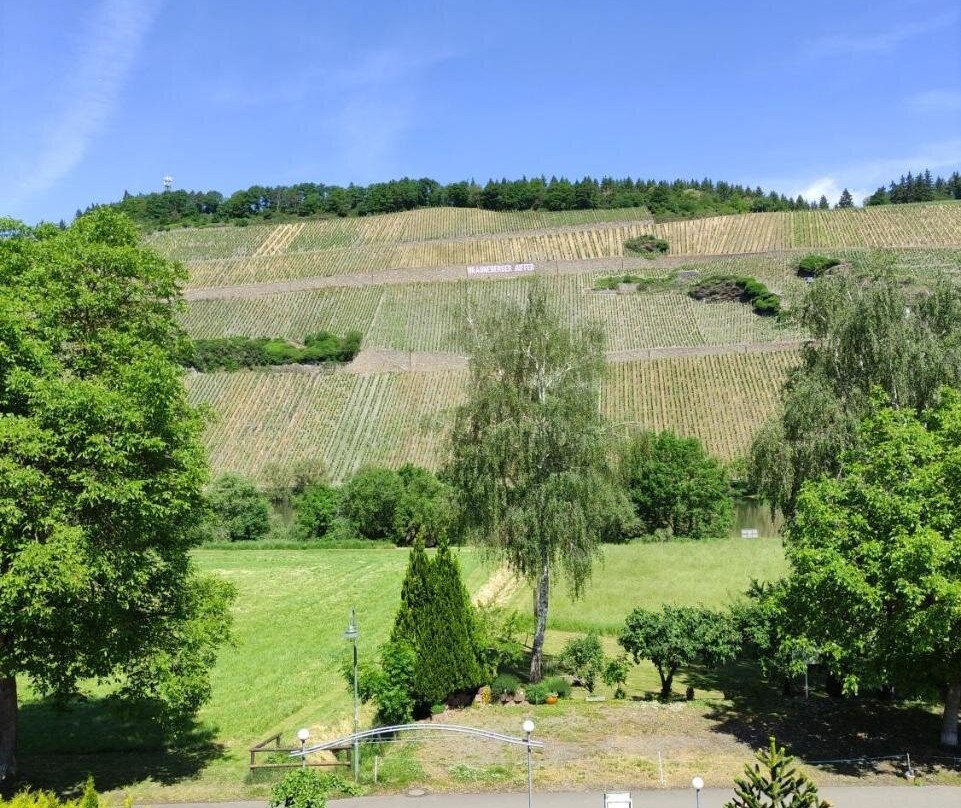 Brauneberg酒店住宿-Weinhaus Schneider