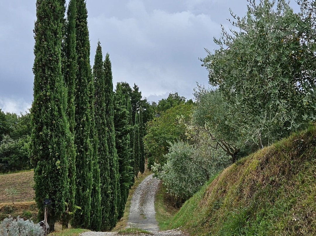 Agriturismo La Casina主图