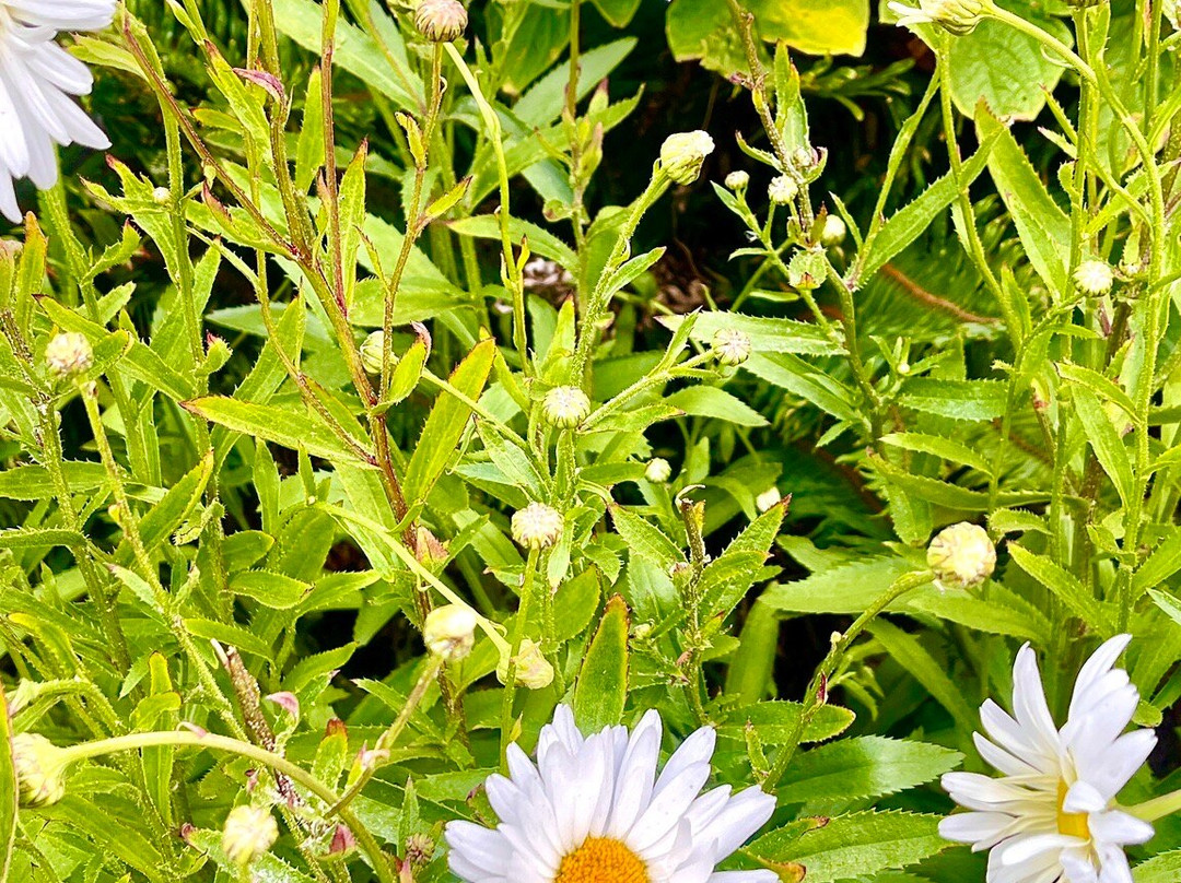 佩蓓角风景区-亚查茨必去景点