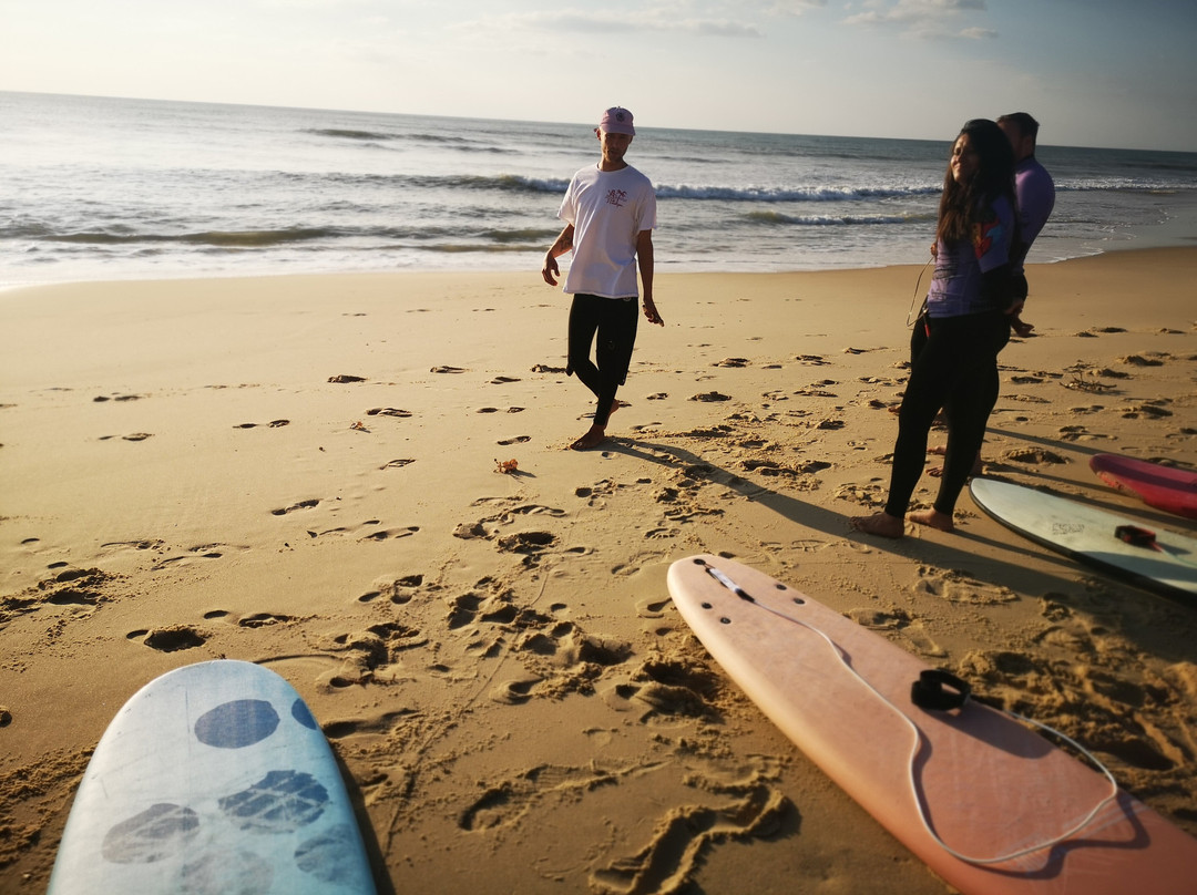 Magic Surf School景点图片