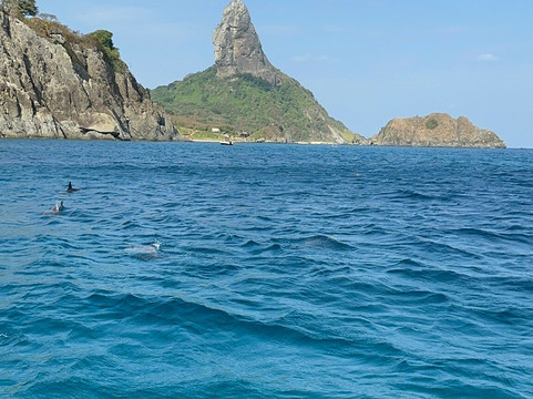 Akoya Noronha-费尔南多-迪诺罗尼亚群岛必去景点