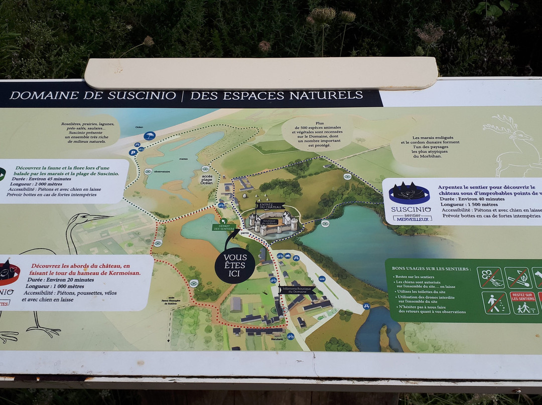 Domaine De Suscinio景点图片