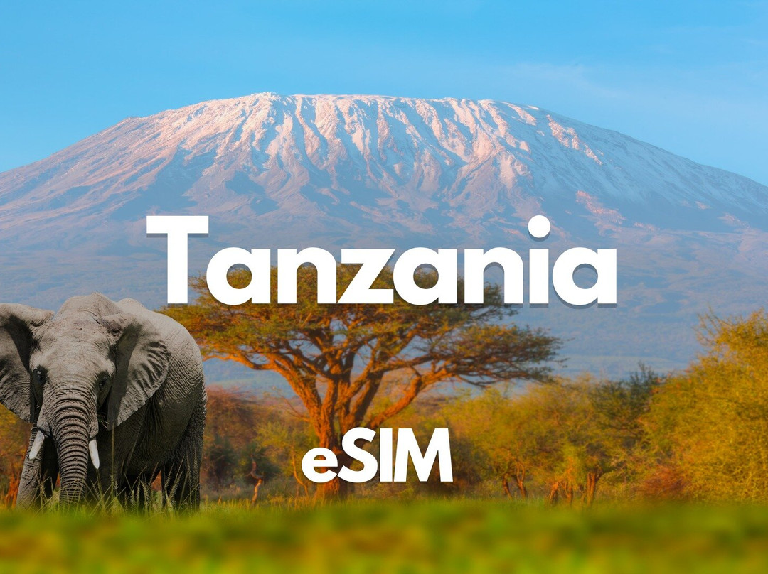 Tanzania Data eSIM from 0.5GB daily to 20GB 30 Days景点图片