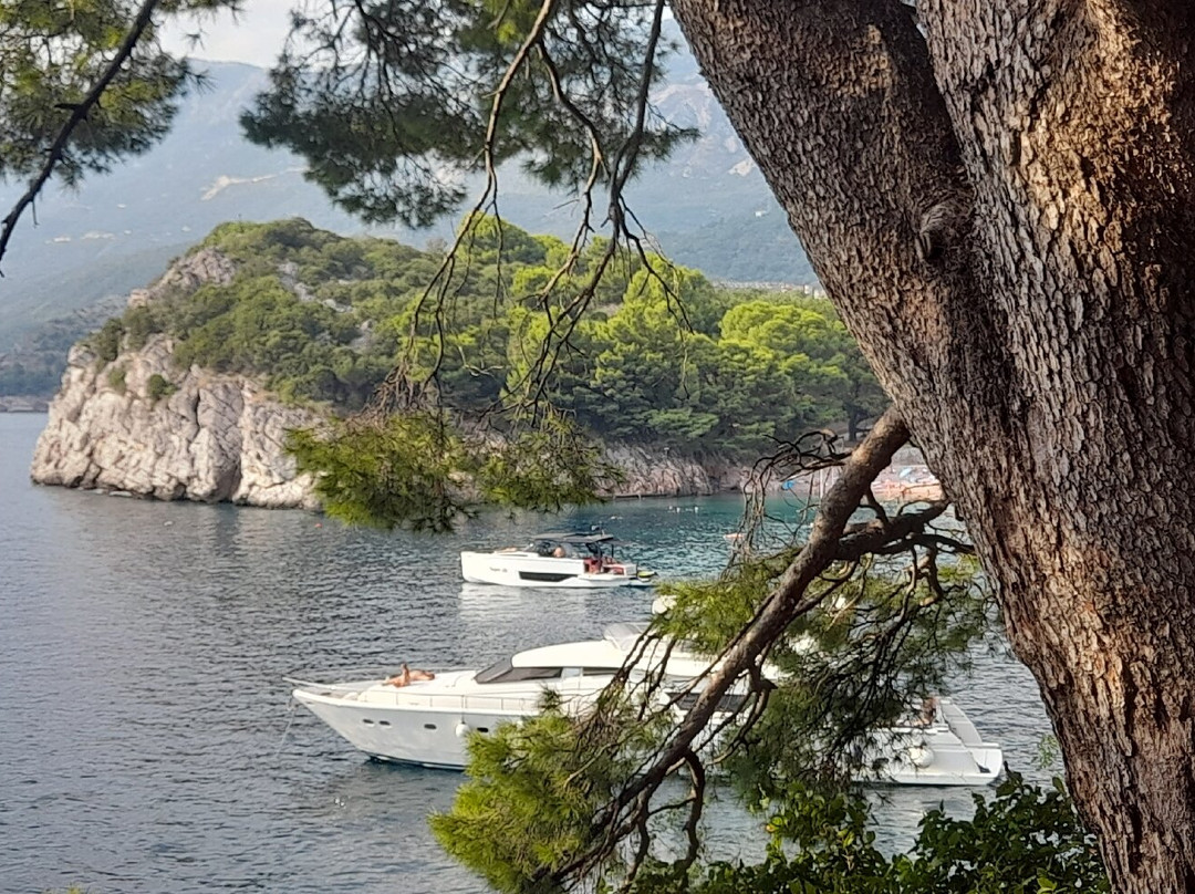 Milocher Park-Przno必去景点