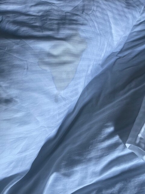 Golden Tulip El Mechtel主图