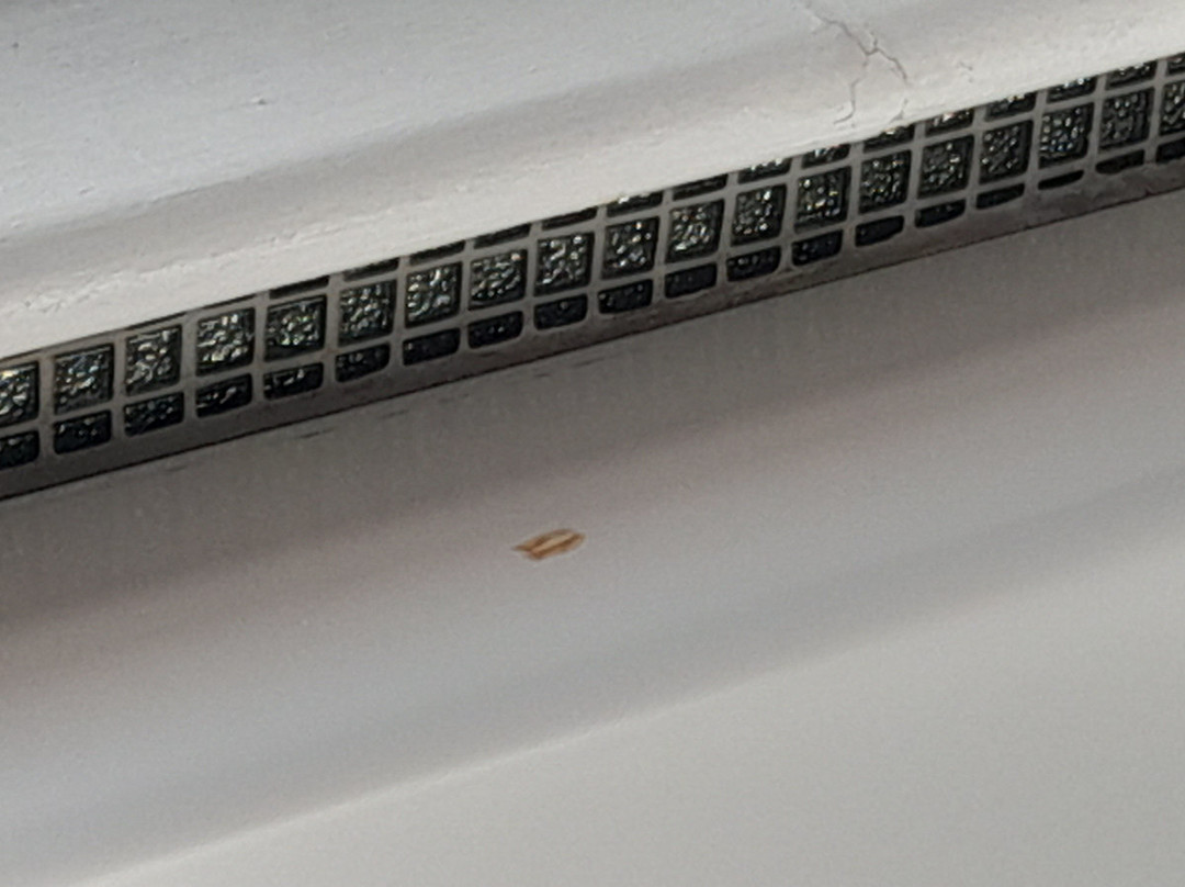 G! Boutique Hotel主图