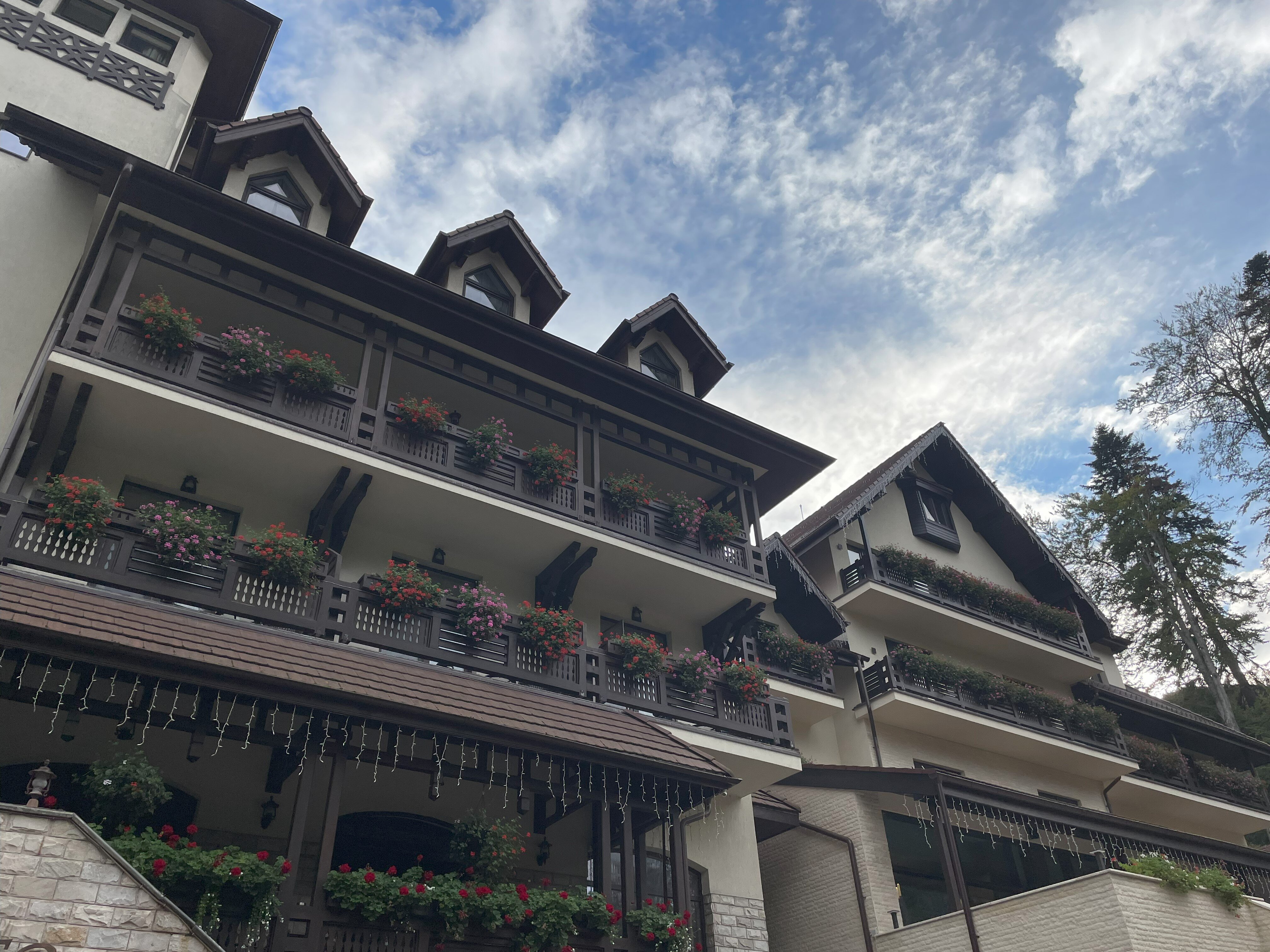 Hotel Foisorul cu Flori-浴室