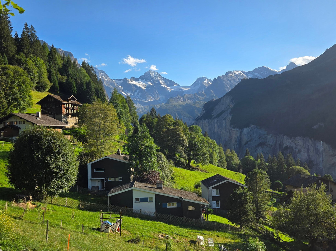 埃里卡小屋酒店主图