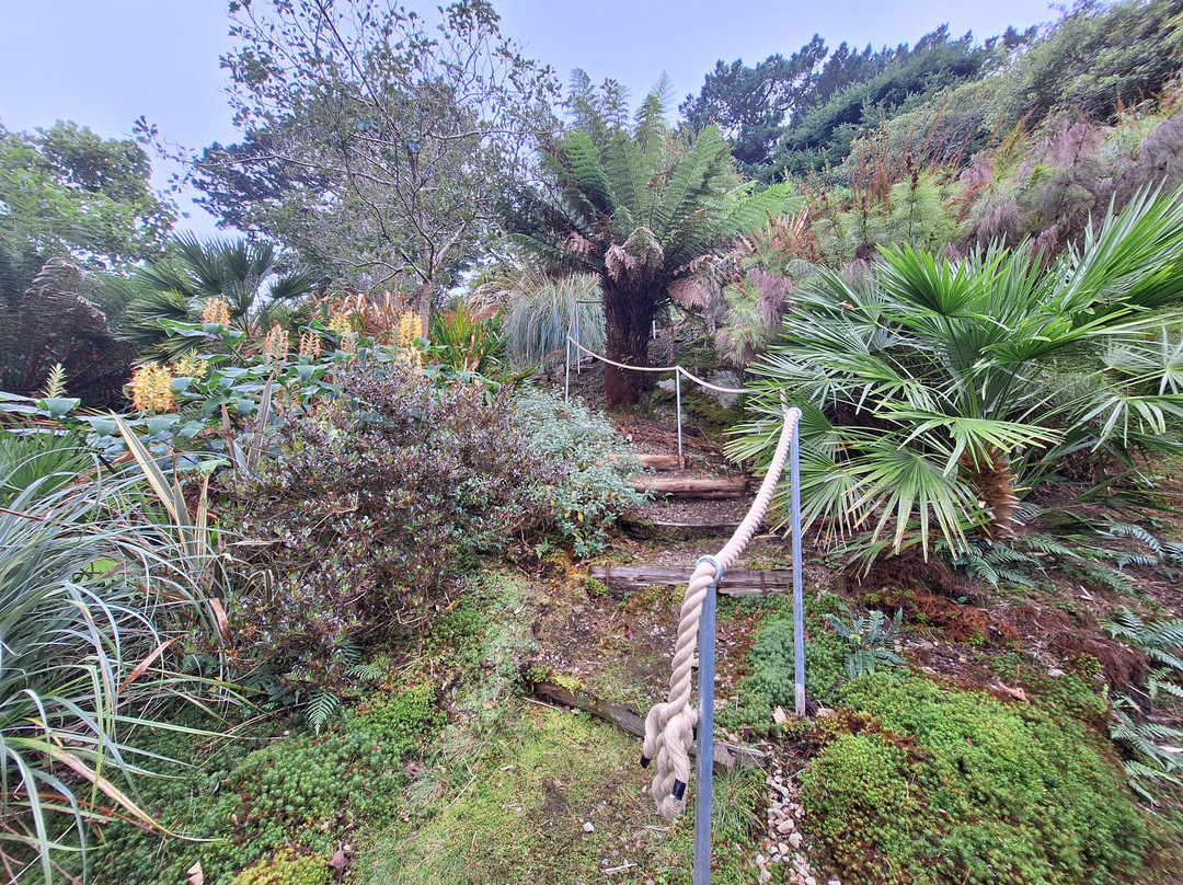 Chygurno Garden景点图片